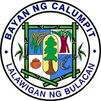 Calumpit Profile - Cities and Municipalities Competitive Index